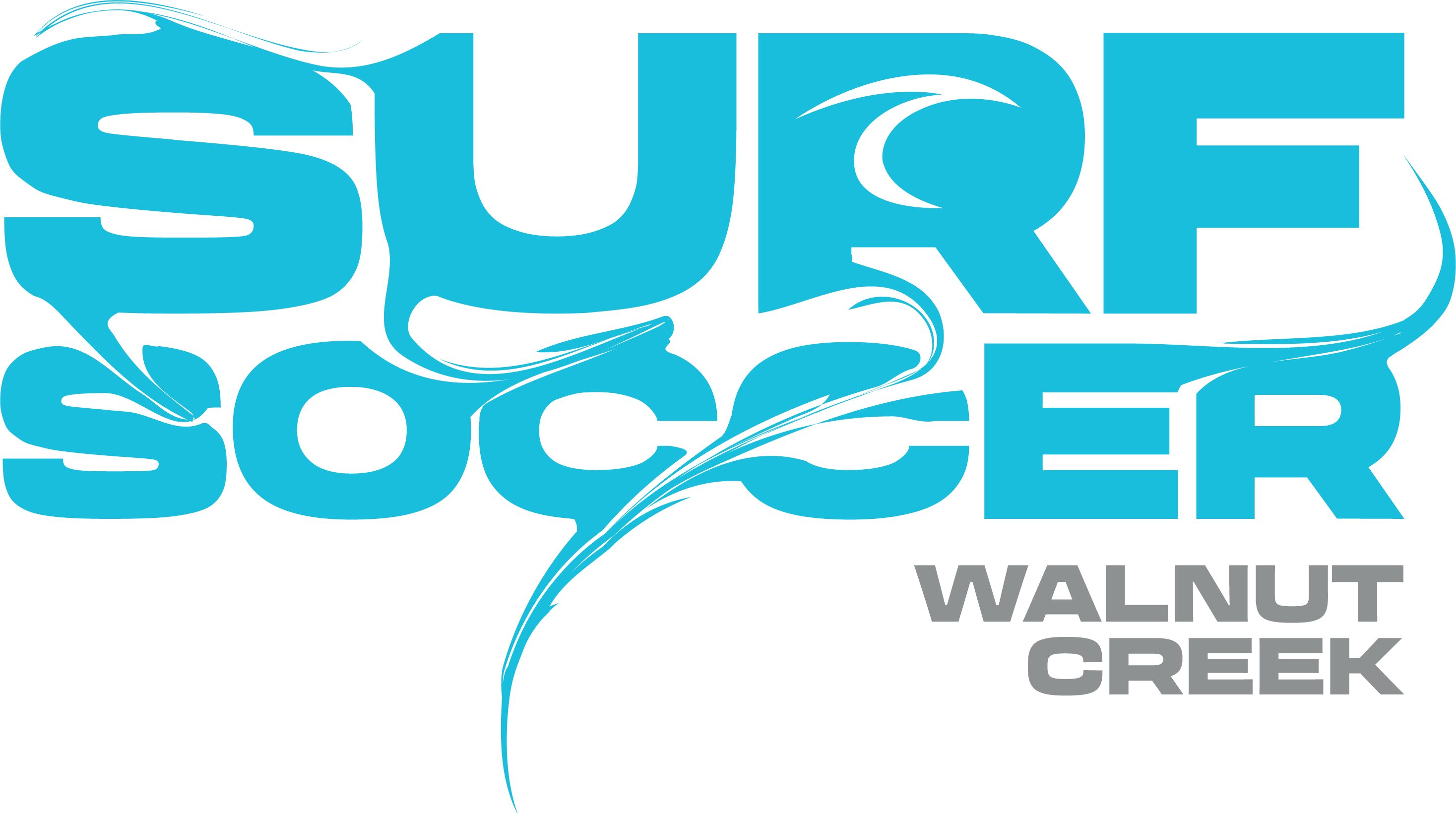 Blue Surf Soccer Paint Logo Walnut Creek