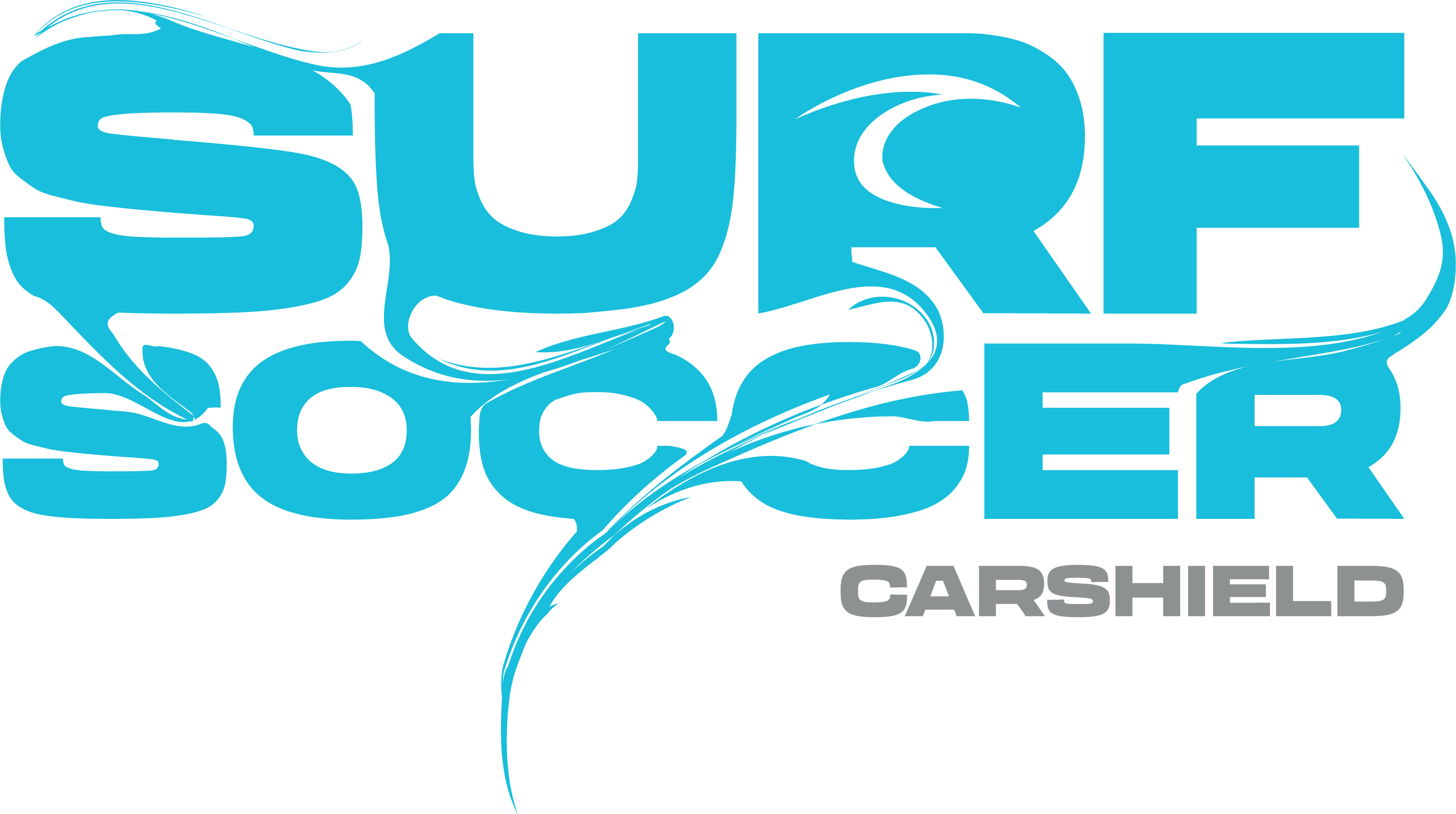 Blue Surf Soccer Paint Logo Carshield