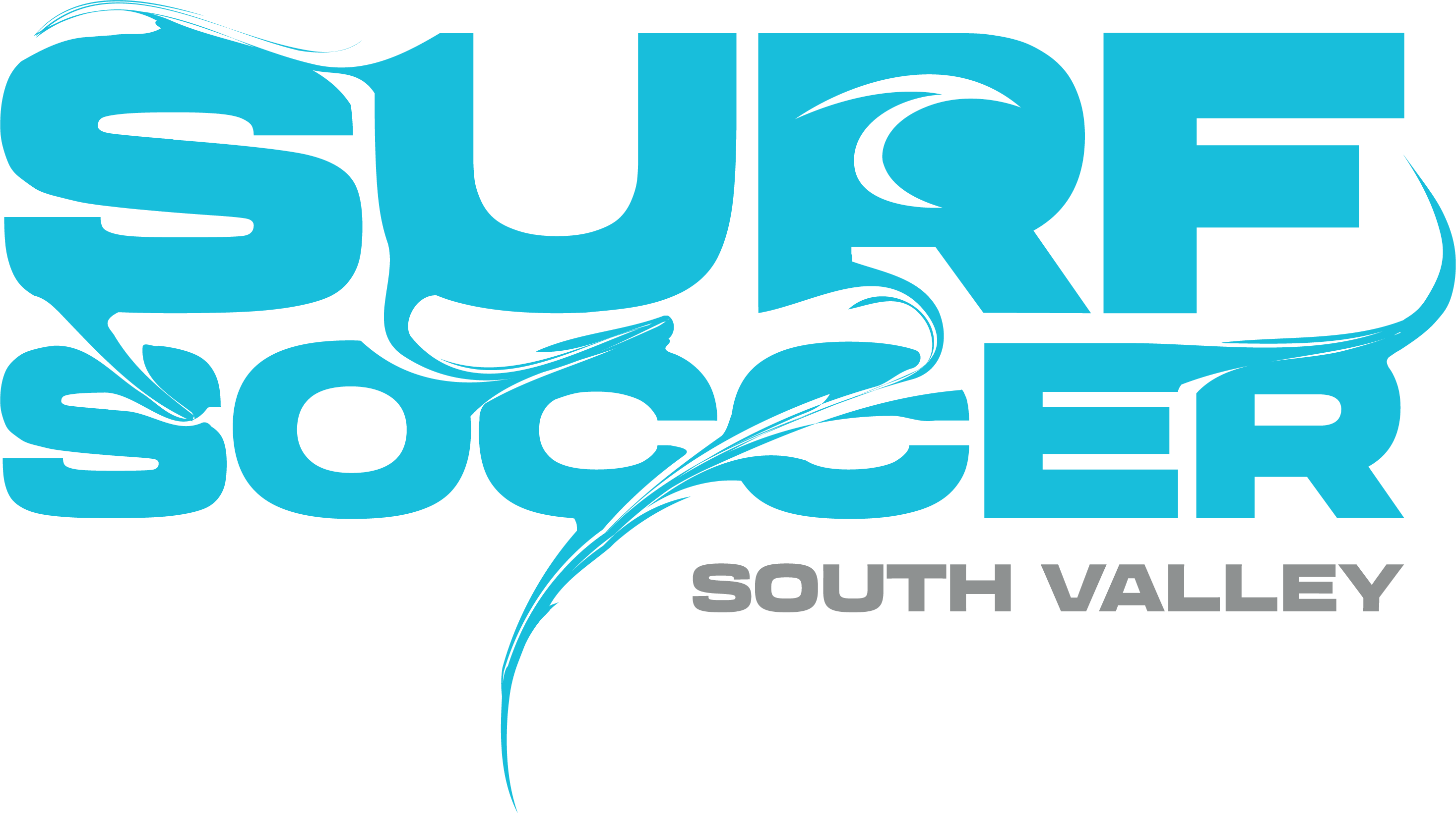 Blue Surf Soccer Paint South Valley