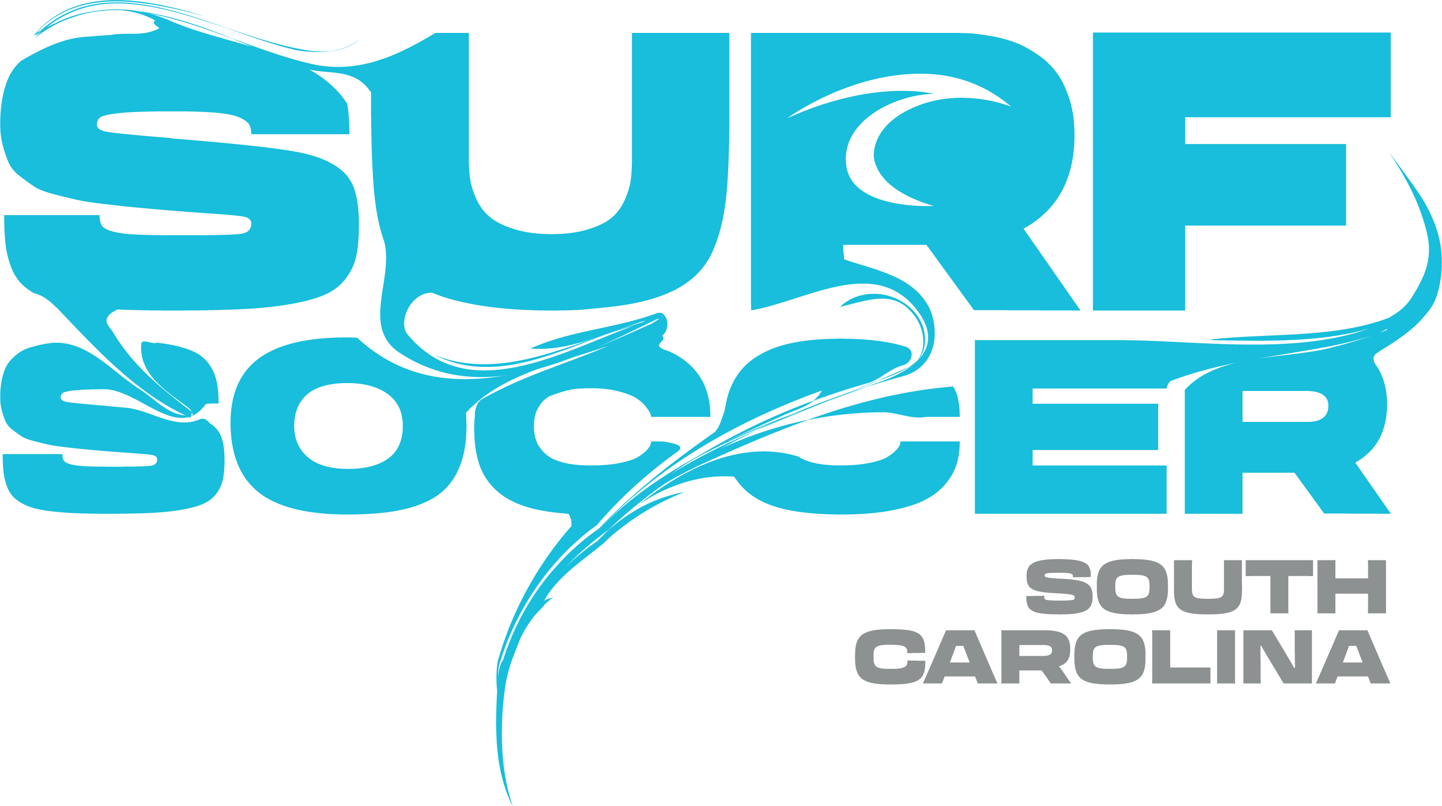 Blue Surf Soccer Paint Logo South Carolina