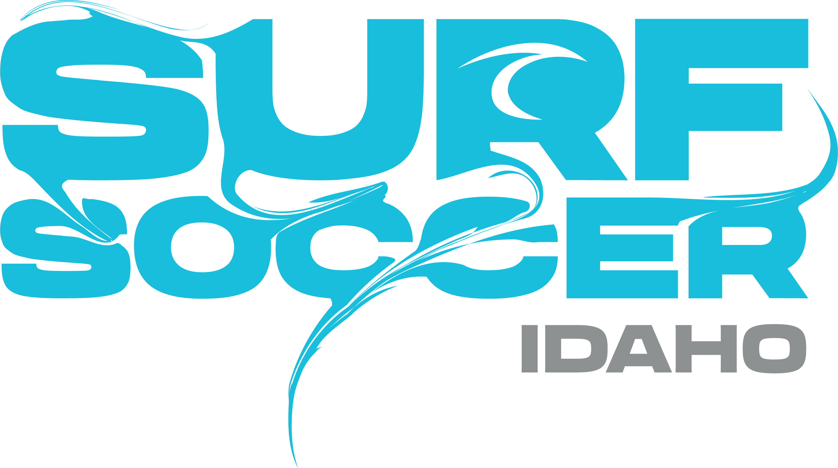 Blue Surf Soccer Paint Logo Idaho