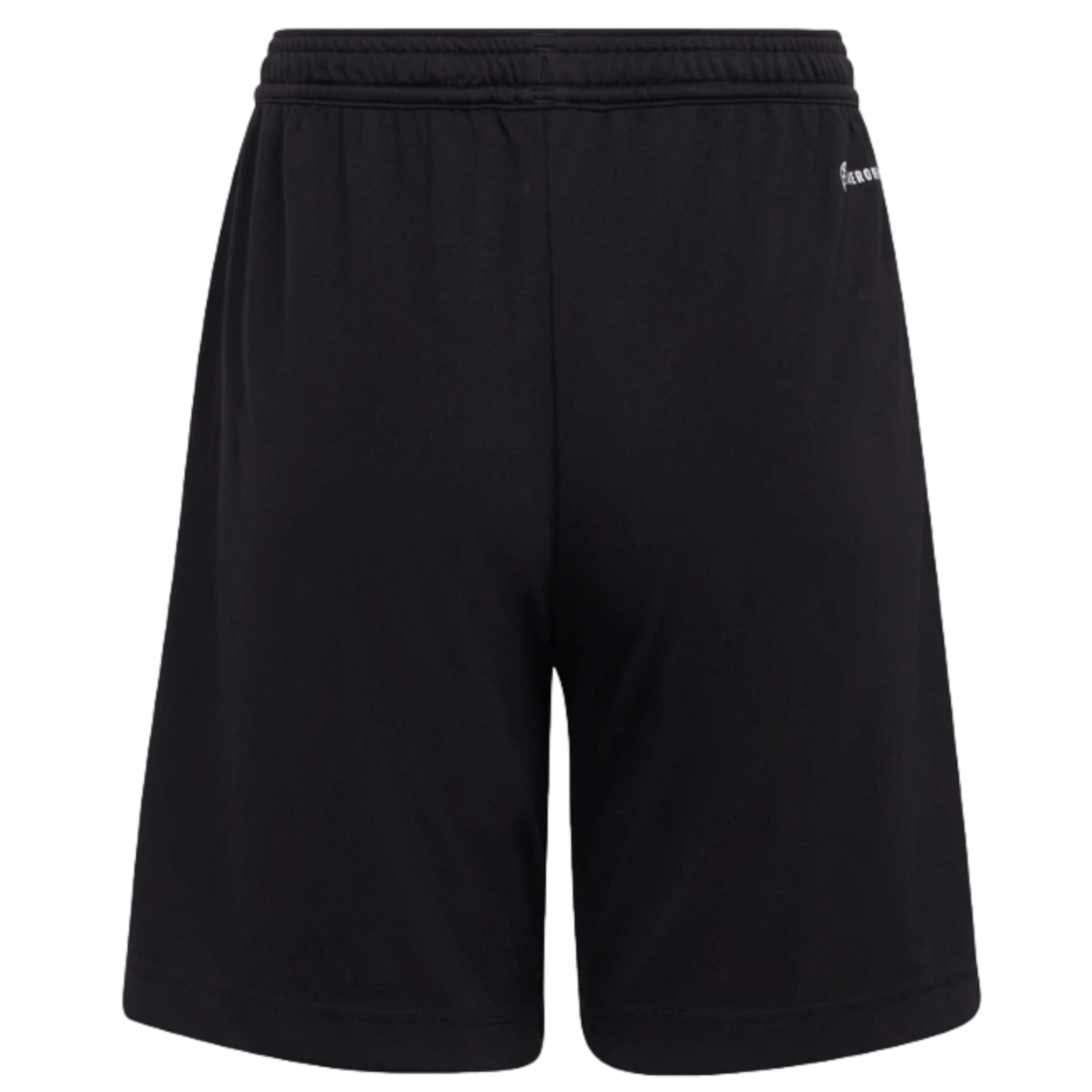 Adidas Entrada 22 Youth Shorts